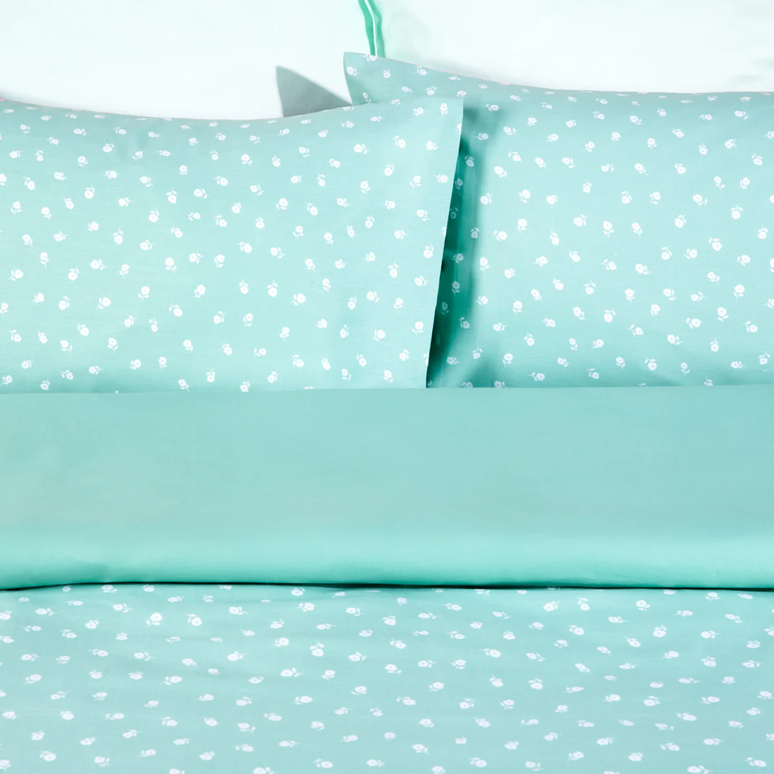 IMG_3235_6eabc1e6-b8b9-408b-9529-390a543a3a73