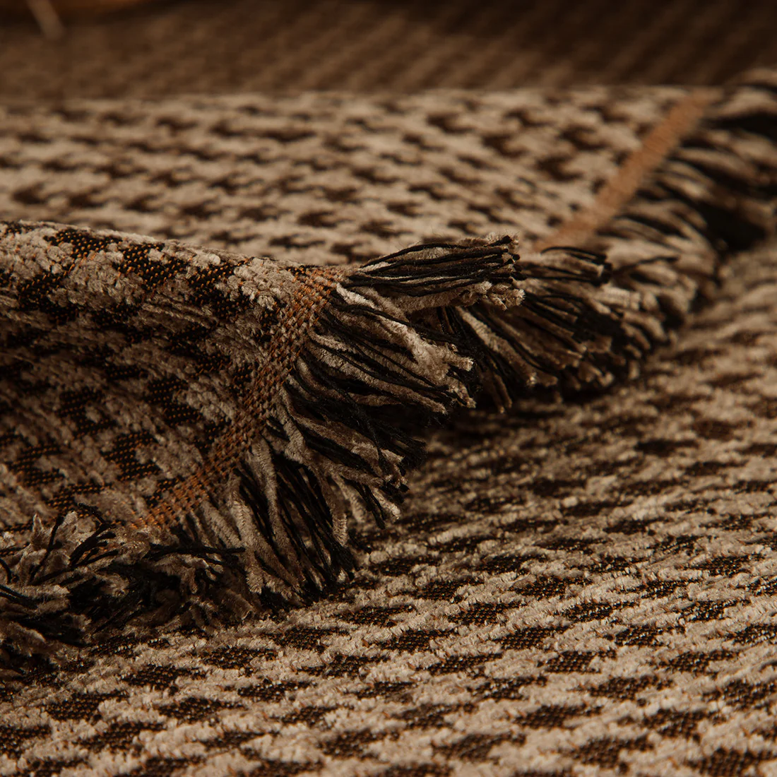 IMG_6269_5b3b258e-2d59-4d6e-a417-05efcf6826ba